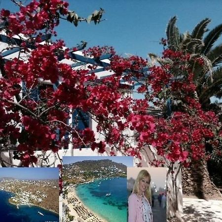 Magical Ornos! Beach House!Beach 1' Walk-Mykonos Town 2Km Ngoại thất bức ảnh