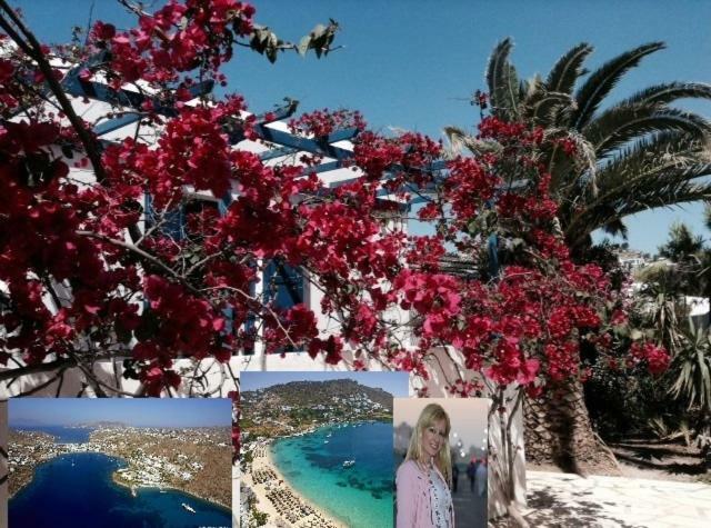 Magical Ornos! Beach House!Beach 1' Walk-Mykonos Town 2Km Ngoại thất bức ảnh